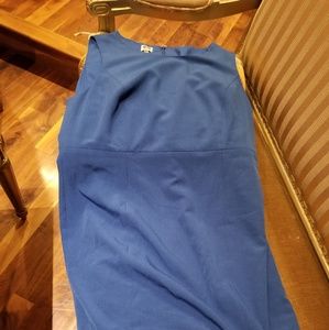 Anne Klein Blue Dress size 16w